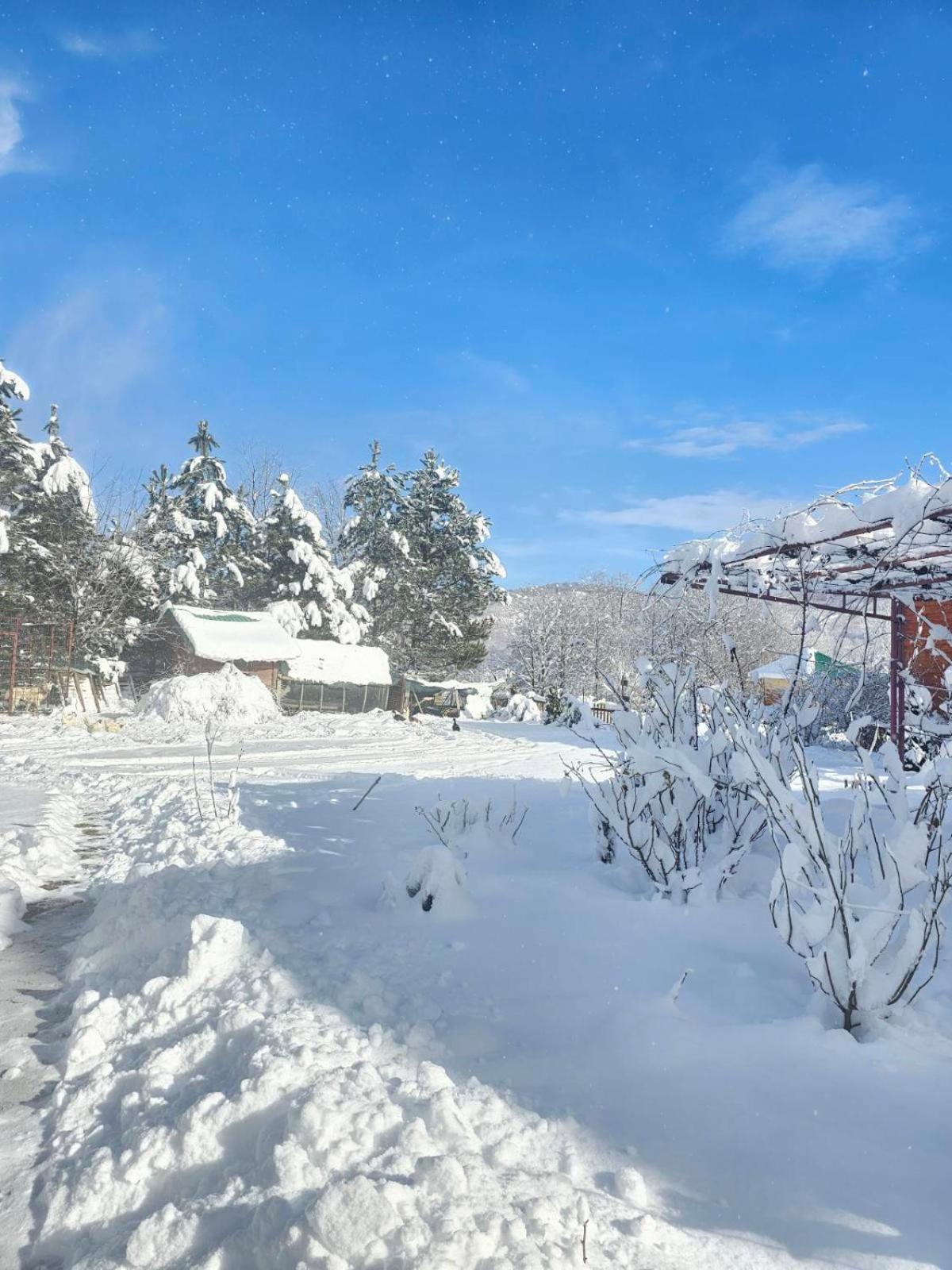Konaci Oceva Zemlja Bungalovi Konaci Oceva Zemlja Vikendica Mojkovac Extérieur photo