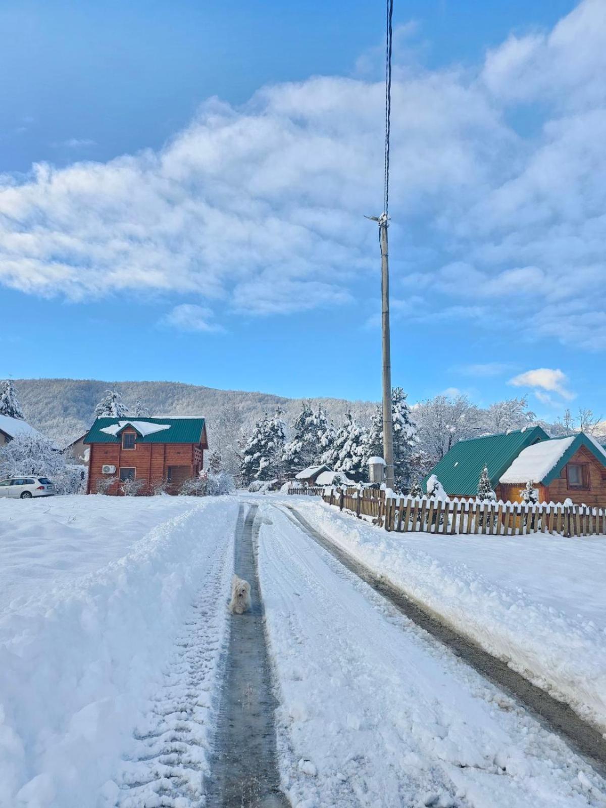 Konaci Oceva Zemlja Bungalovi Konaci Oceva Zemlja Vikendica Mojkovac Extérieur photo