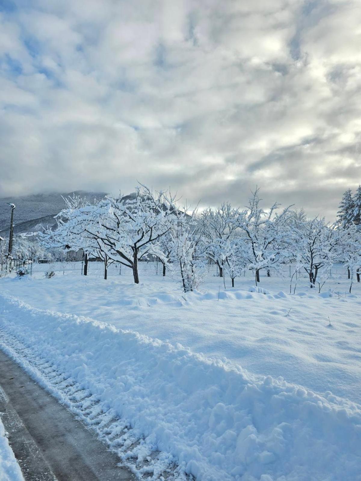 Konaci Oceva Zemlja Bungalovi Konaci Oceva Zemlja Vikendica Mojkovac Extérieur photo